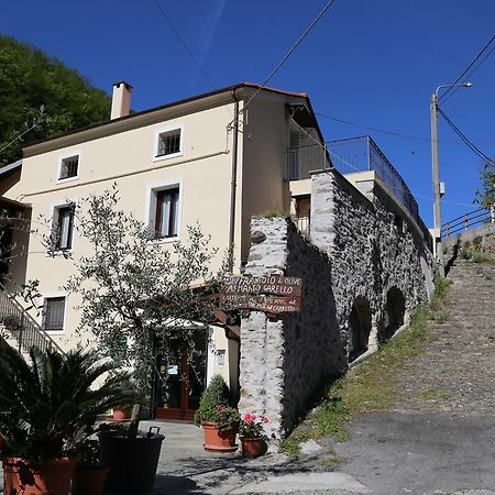 Agriturismo Dai Marchesin Nasino 外观 照片