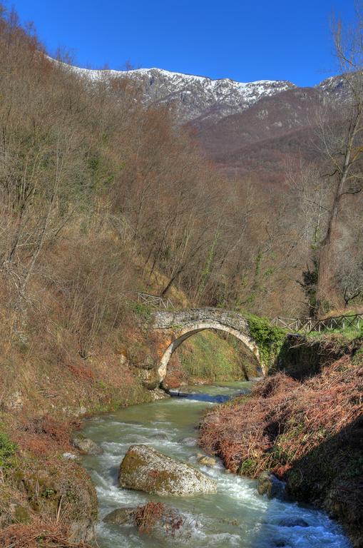 Agriturismo Dai Marchesin Nasino 外观 照片